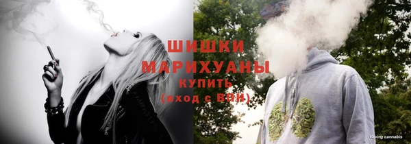 сатива Каменск-Шахтинский