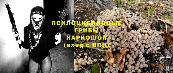сатива Каменск-Шахтинский