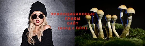 МДМА Каменногорск