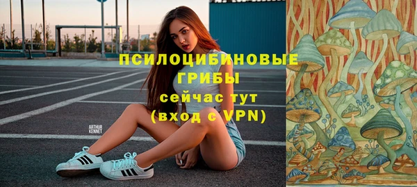 кристаллы Каменка